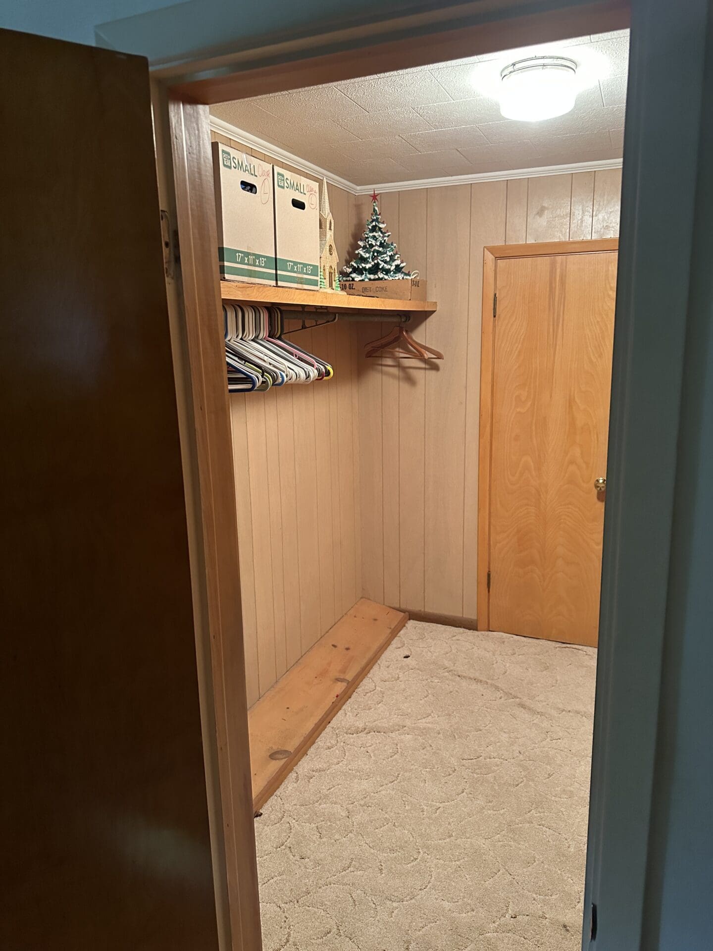 A small walk-in closet with beige carpet, wood-paneled walls, an overhead light, several empty hangers on a wooden rod, two cardboard boxes labeled "SMALL," and a decorative Christmas tree on the shelf.